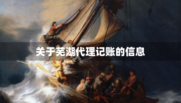 关于芜湖代理记账的信息
