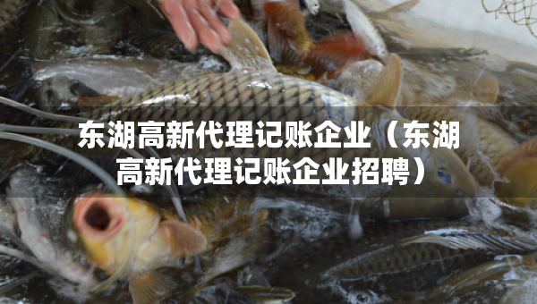 东湖高新代理记账企业（东湖高新代理记账企业招聘）