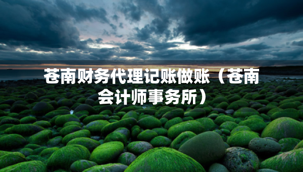 苍南财务代理记账做账（苍南会计师事务所）