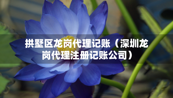 拱墅区龙岗代理记账（深圳龙岗代理注册记账公司）