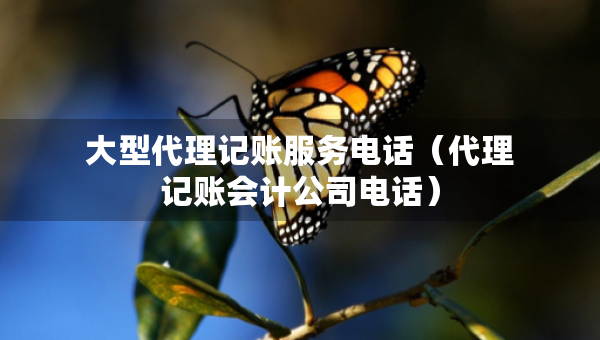 大型代理记账服务电话（代理记账会计公司电话）