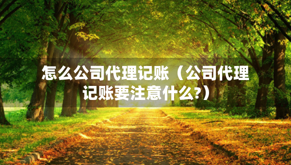 怎么公司代理记账（公司代理记账要注意什么?）
