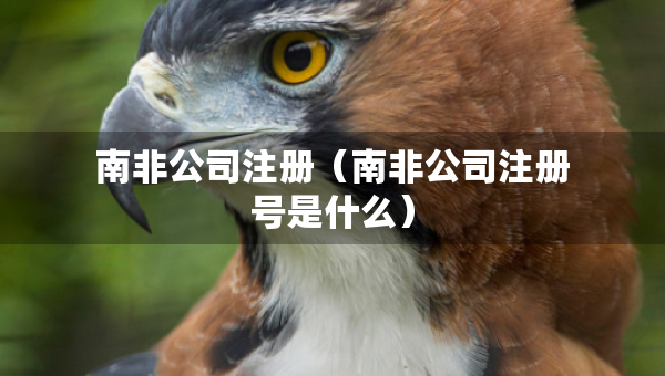 南非公司注册（南非公司注册号是什么）