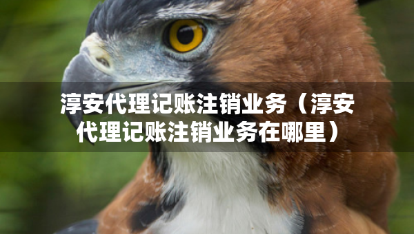 淳安代理记账注销业务(淳安代理记账注销业务在哪里) 淳安代理记账注销业务(淳安代理记账注销业务在哪里)