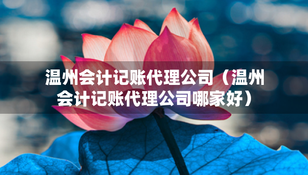 温州会计记账代理公司（温州会计记账代理公司哪家好）