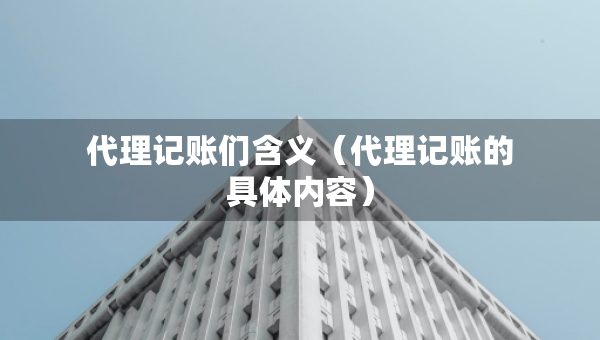 代理记账们含义（代理记账的具体内容）