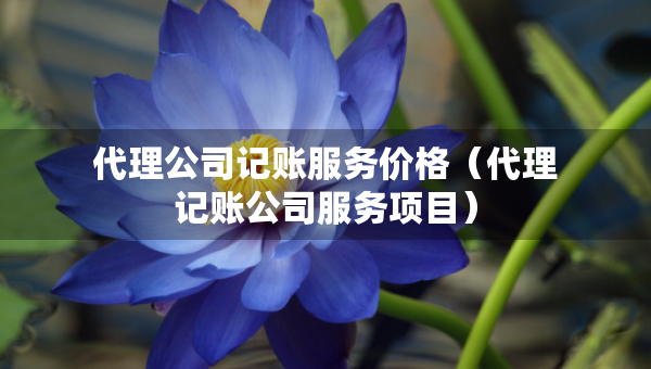 代理公司记账服务价格（代理记账公司服务项目）