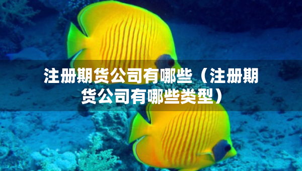 注册期货公司有哪些（注册期货公司有哪些类型）