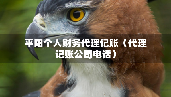 平阳个人财务代理记账（代理记账公司电话）