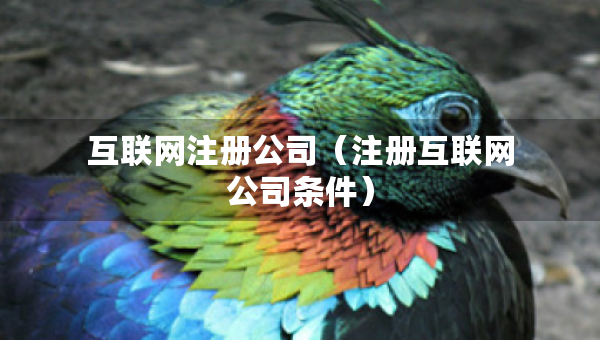 互联网注册公司（注册互联网公司条件）
