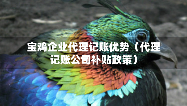 宝鸡企业代理记账优势（代理记账公司补贴政策）