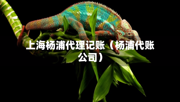 上海杨浦代理记账（杨浦代账公司）