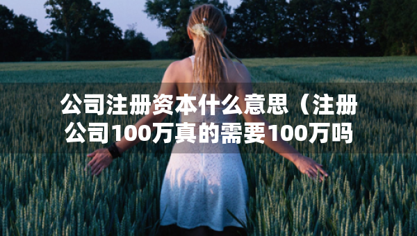 公司注册资本什么意思（注册公司100万真的需要100万吗）