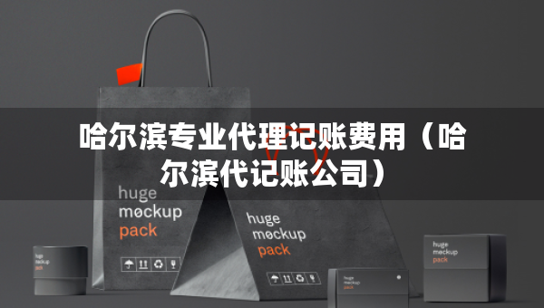 哈尔滨专业代理记账费用（哈尔滨代记账公司）