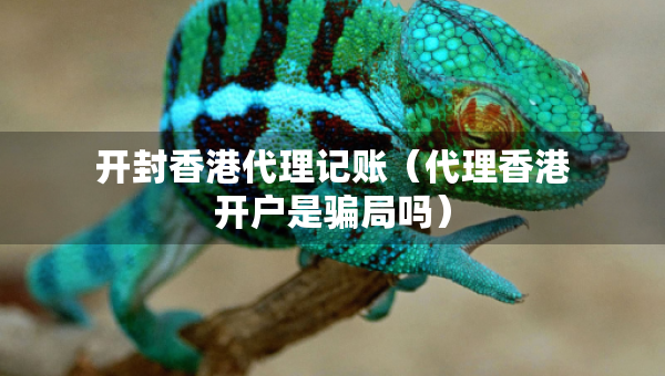 开封香港代理记账(代理香港开户是骗局吗) 开封香港代理记账(代理香港开户是骗局吗)