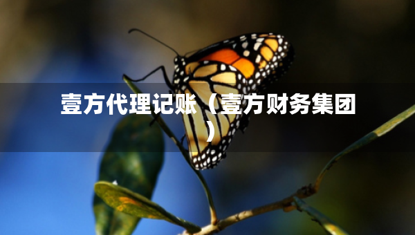 壹方代理记账（壹方财务集团）