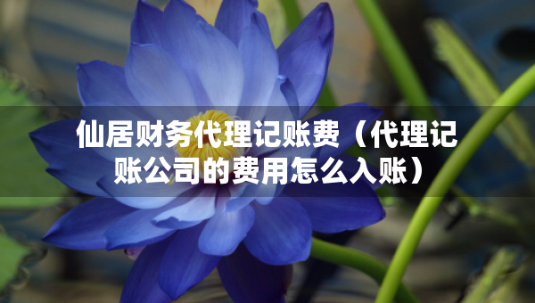 仙居财务代理记账费（代理记账公司的费用怎么入账）