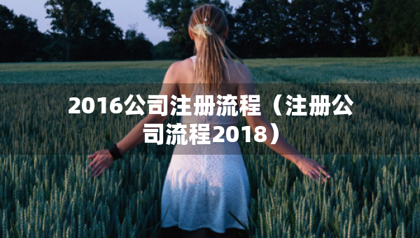 2016公司注册流程（注册公司流程2018）