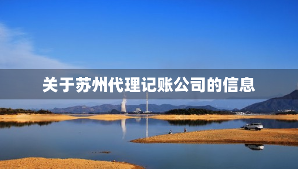 关于苏州代理记账公司的信息