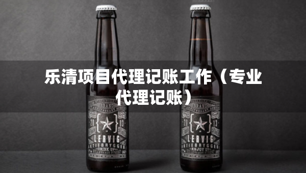 乐清项目代理记账工作（专业代理记账）