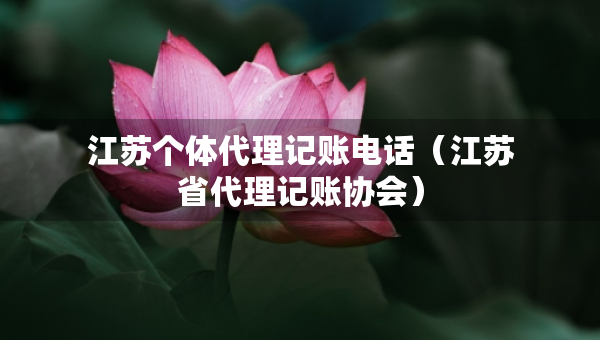 江苏个体代理记账电话（江苏省代理记账协会）