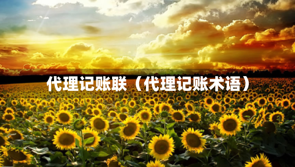 代理记账联（代理记账术语）