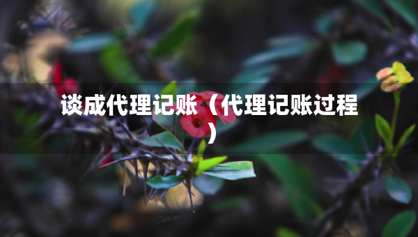 谈成代理记账（代理记账过程）