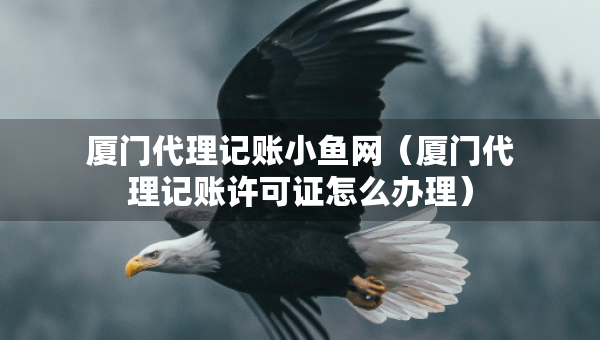 厦门代理记账小鱼网（厦门代理记账许可证怎么办理）