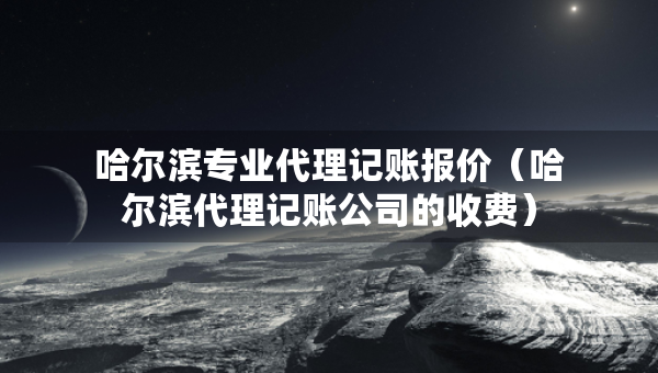 哈尔滨专业代理记账报价（哈尔滨代理记账公司的收费）