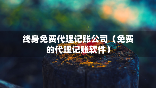 终身免费代理记账公司（免费的代理记账软件）
