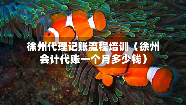 徐州代理记账流程培训（徐州会计代账一个月多少钱）