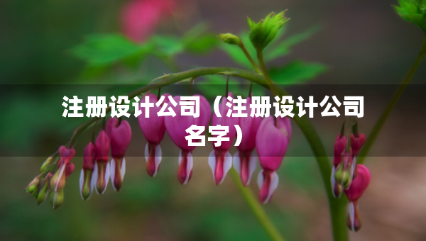 注册设计公司（注册设计公司名字）