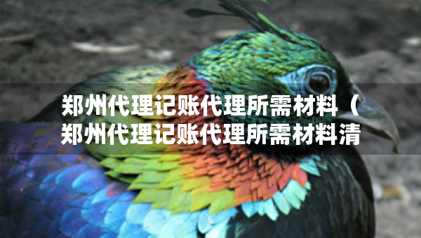 郑州代理记账代理所需材料（郑州代理记账代理所需材料清单表）