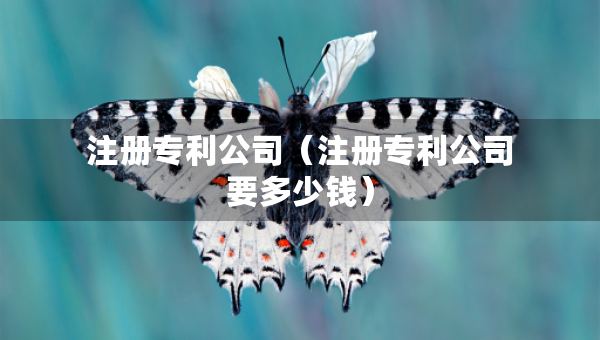 注册专利公司（注册专利公司要多少钱）