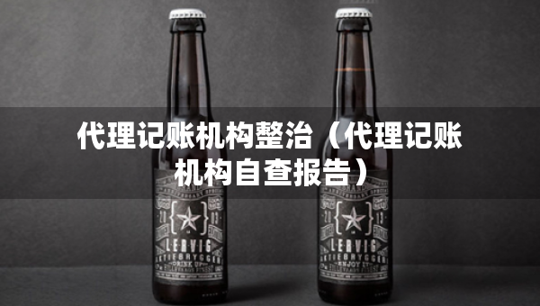 代理记账机构整治（代理记账机构自查报告）