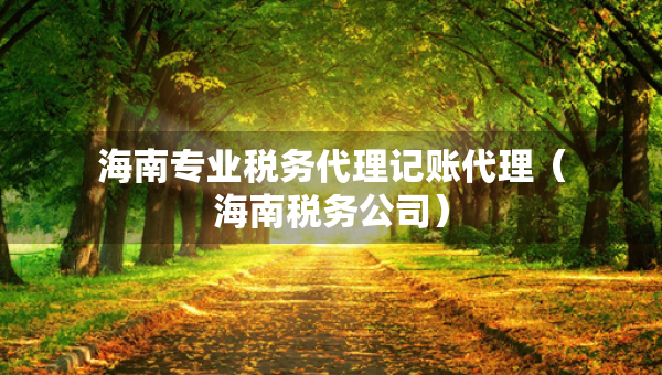 海南专业税务代理记账代理（海南税务公司）