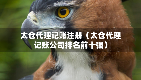 太仓代理记账注册（太仓代理记账公司排名前十强）