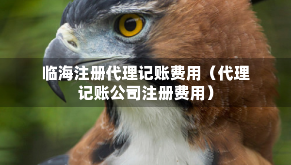 临海注册代理记账费用（代理记账公司注册费用）