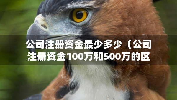 公司注册资金最少多少（公司注册资金100万和500万的区别）
