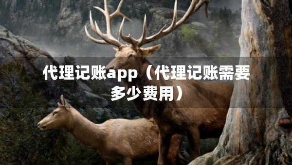 代理记账app（代理记账需要多少费用）