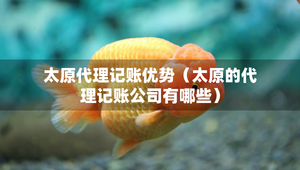 太原代理记账优势（太原的代理记账公司有哪些）