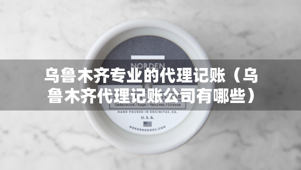 乌鲁木齐专业的代理记账（乌鲁木齐代理记账公司有哪些）
