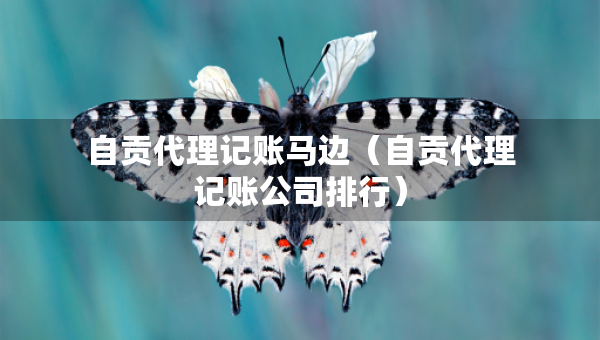 自贡代理记账马边（自贡代理记账公司排行）