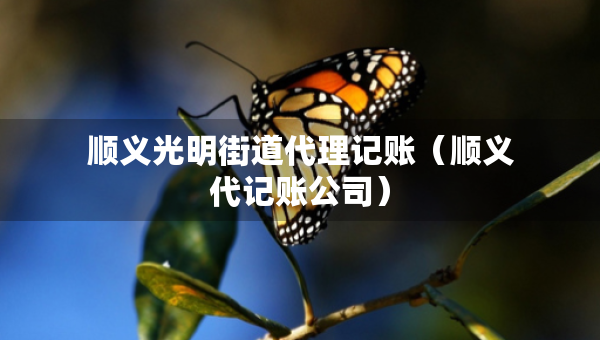 顺义光明街道代理记账（顺义代记账公司）