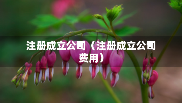 注册成立公司（注册成立公司费用）