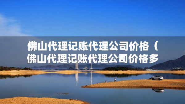佛山代理记账代理公司价格（佛山代理记账代理公司价格多少）