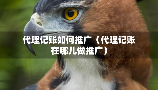 代理记账如何推广（代理记账在哪儿做推广）