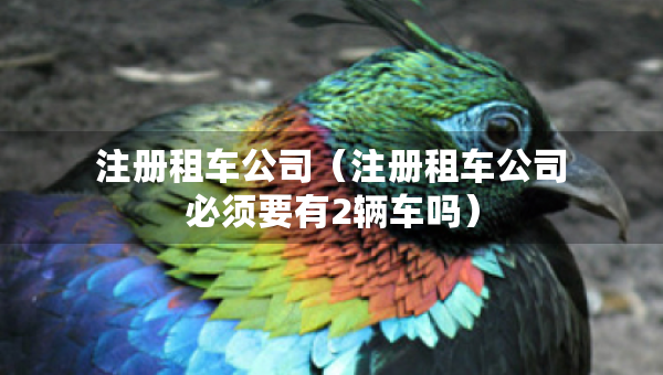 注册租车公司（注册租车公司必须要有2辆车吗）