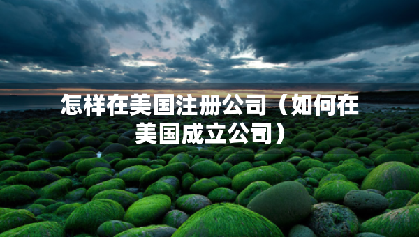 怎样在美国注册公司（如何在美国成立公司）