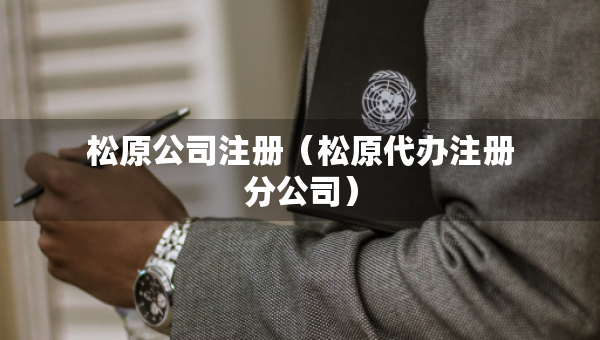 松原公司注册（松原代办注册分公司）